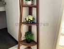 Contemporary wooden shelf with decorative plants in a modern home interior