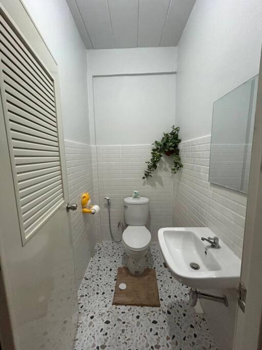 Modern bathroom with white tiles and decorative plants