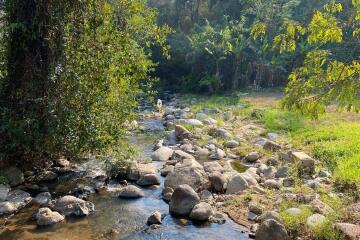 ขายที่ดินสวยริมลำธารหางดง