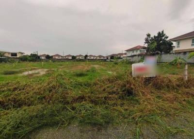 Empty residential building lot with overgrown grass and cloudy sky