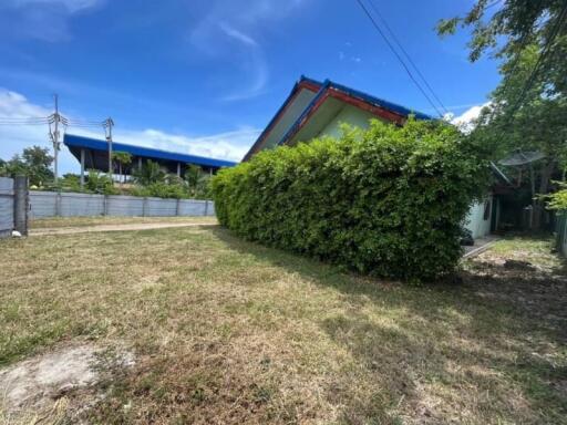 Spacious backyard with greenery and privacy fence