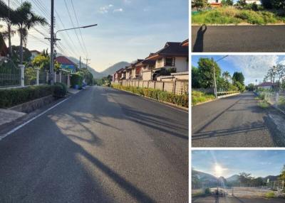 Scenic view of a residential street with houses and lush greenery