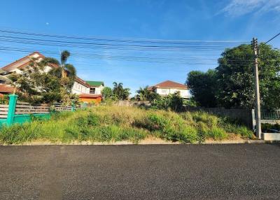 Suburban street view with houses and overgrown vacant lot
