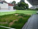 Overgrown garden space outside a building