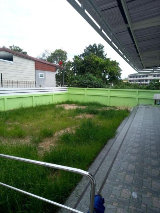 Overgrown garden space outside a building