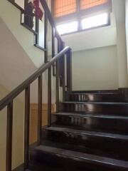 Wooden staircase inside a residential property with natural light from windows