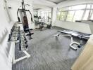 Bright and spacious home gym with various fitness equipment