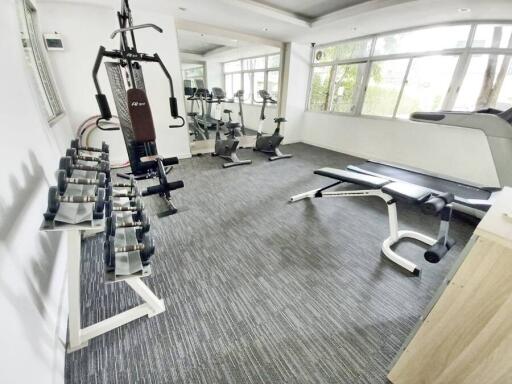 Bright and spacious home gym with various fitness equipment