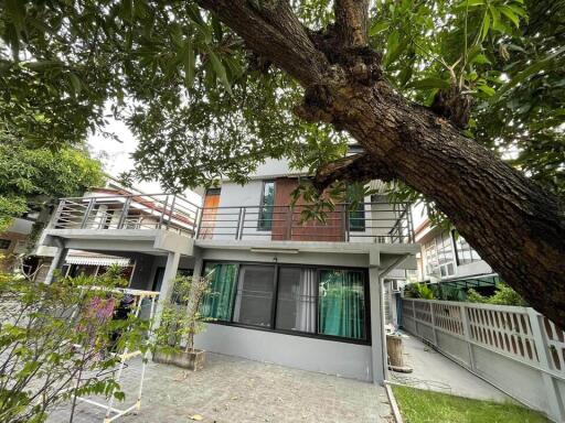 Spacious two-story house with large tree in the front yard and balcony