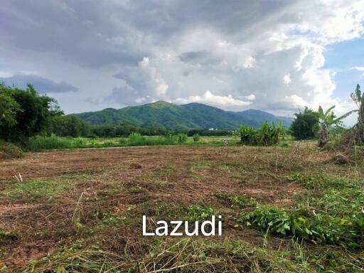 Beautiful land for sale 1 Rai Maechan, Chiang Rai