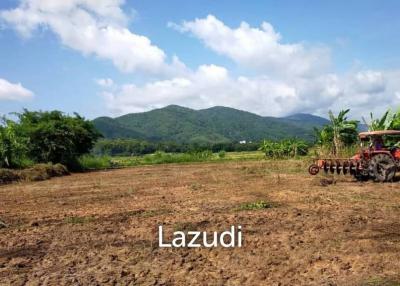 Beautiful land for sale 1 Rai Maechan, Chiang Rai