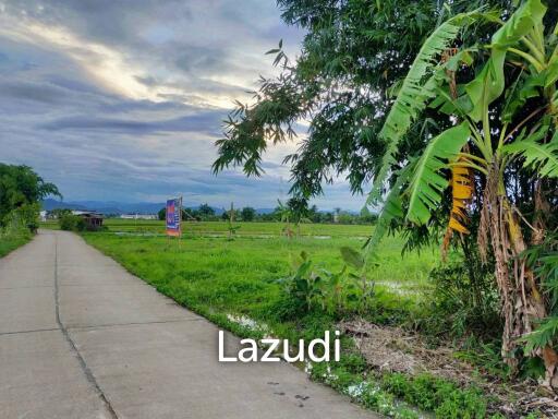 Beautiful land for sale 1 Rai Maechan, Chiang Rai