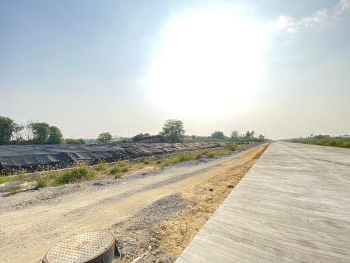 Sunny exterior view of undeveloped land with a concrete road
