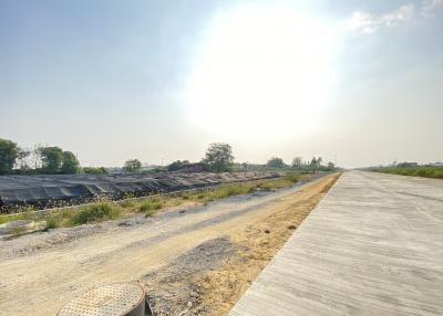 Sunny exterior view of undeveloped land with a concrete road
