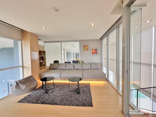 Modern living room with ample natural light and contemporary furnishings