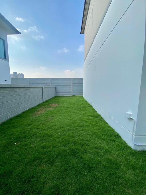 Narrow side yard with green grass next to a residential building under blue sky