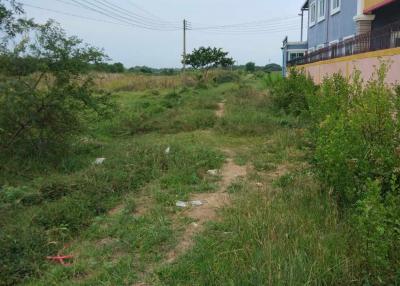 View of the pathway leading to a house with overgrown grass and natural surroundings