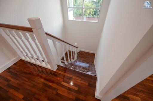 Elegant wooden staircase with white balustrade and natural light