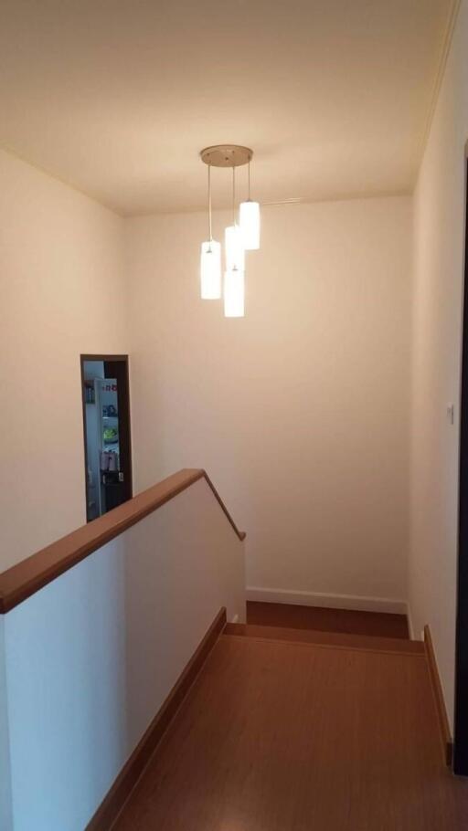 Warmly lit stairway with wooden handrail and modern lighting fixture