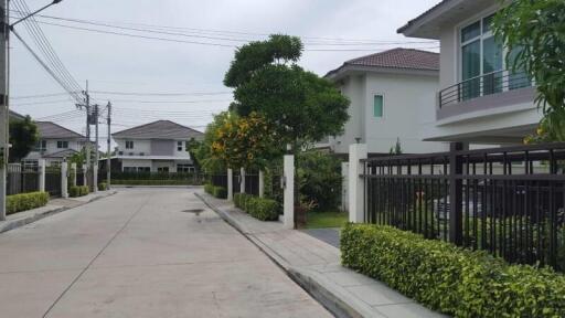 Suburban neighborhood street with residential houses and landscaped gardens