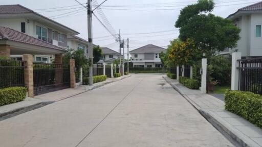 Suburban neighborhood street with family homes
