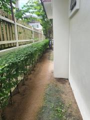 Narrow pathway beside a building with a garden and fence