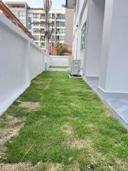 Narrow grassy outdoor area between buildings