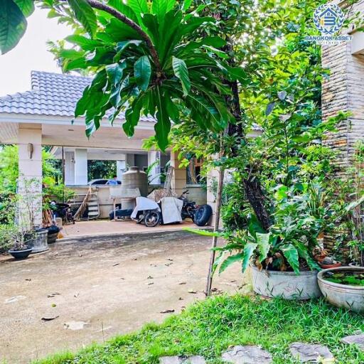 Exterior view of a house with a spacious front yard and greenery