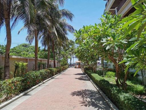 Tropical garden pathway with lush greenery outside apartments