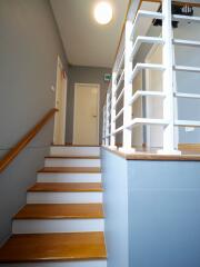 Modern wooden staircase with white balustrade in a well-lit interior