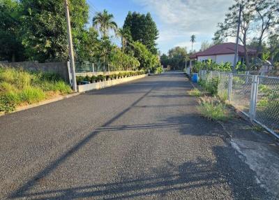 Paved street with tropical trees under a blue sky