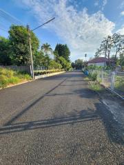 Paved street with tropical trees under a blue sky