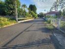 Paved street with tropical trees under a blue sky