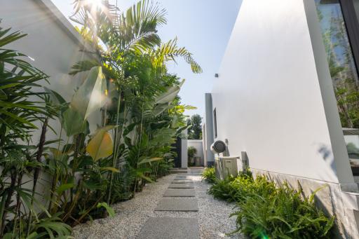 Pathway leading to modern home entrance surrounded by lush greenery