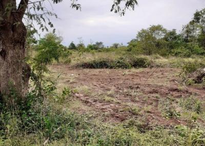 22 Rai Of Undeniable Development Land For Sale, Ban That, Phen, Udon Thani, Thailand