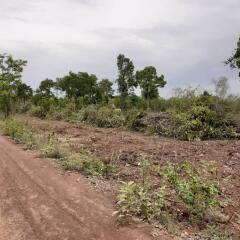 22 Rai Of Undeniable Development Land For Sale, Ban That, Phen, Udon Thani, Thailand