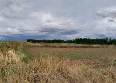 Expansive outdoor farmland with overcast sky