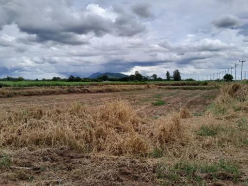 Expansive open field with cloudy skies