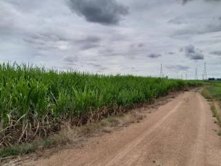 Rural dirt road adjacent to lush green fields under a cloudy sky