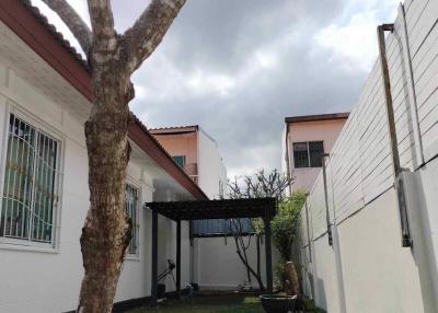 Cozy backyard with a pergola and mature tree