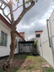 Cozy backyard with a pergola and mature tree