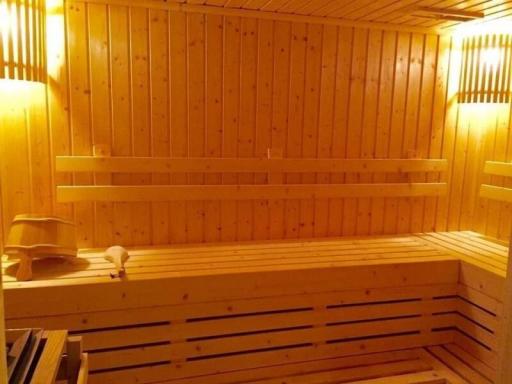 Cozy home sauna with wooden benches and interior