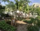 Lush backyard garden with various plants and a wooden bench