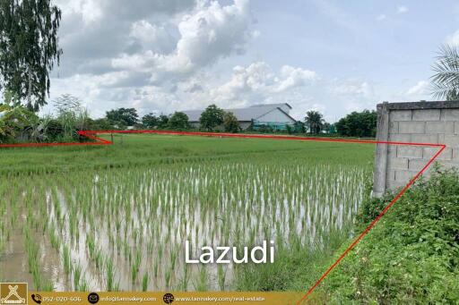 5 Rai Land for Sale in Thoeng, Chiang Rai