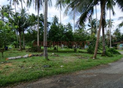 Chanote Land with 8 Houses for Sale – North East Coast, Koh Chang
