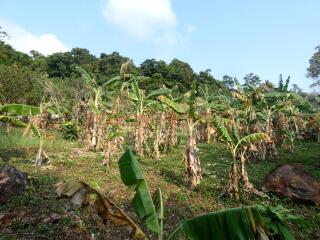 Big Land for Sale - North West Coast, Koh Chang