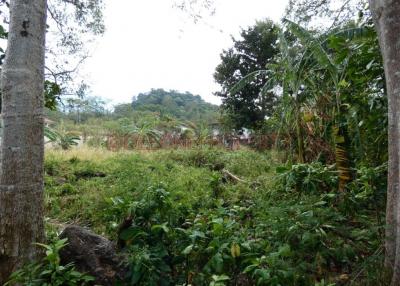 Chanote Land Plot for Sale - North West Coast, Koh Chang