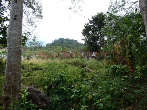 Chanote Land Plot for Sale - North West Coast, Koh Chang