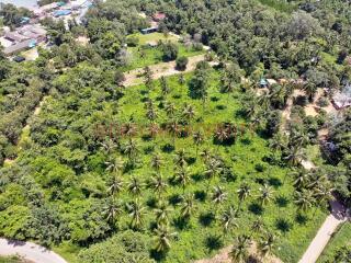 Big Land near Sea for Sale - South West Coast, Koh Chang