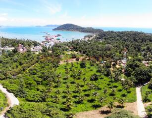 Big Land near Sea for Sale - South West Coast, Koh Chang